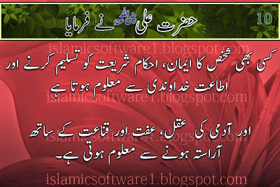 quotes of Hazrat Ali R.A  in urdu 