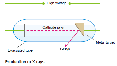 Atomic Number and Mass Number