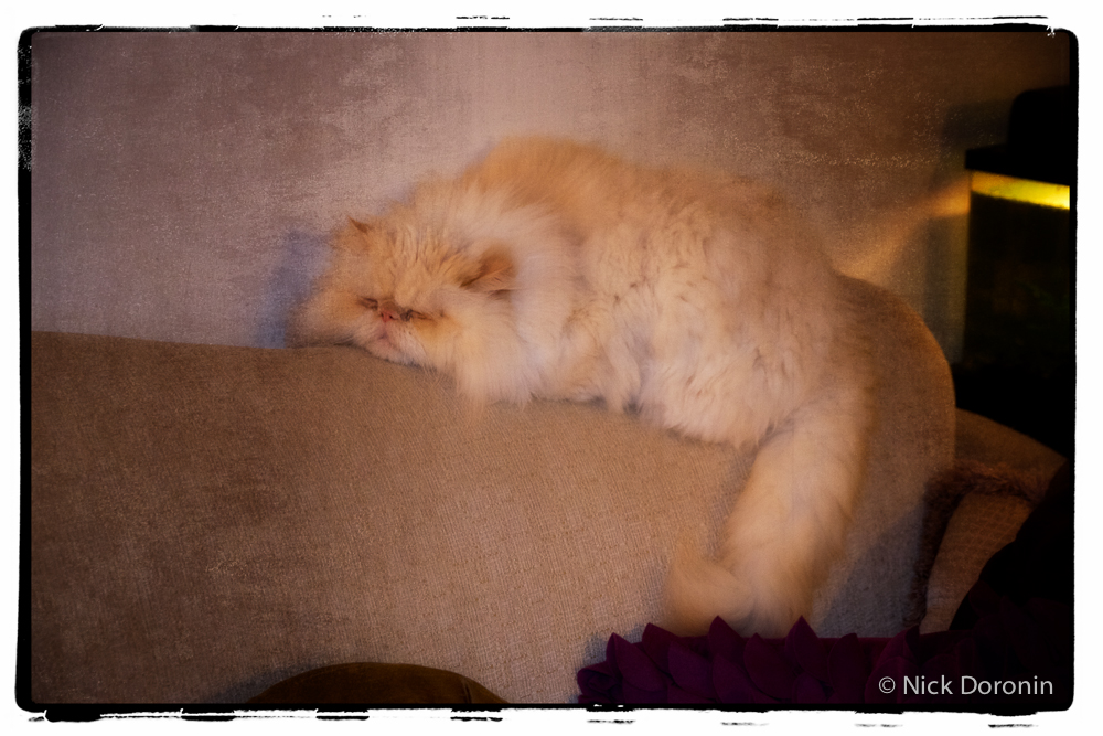 IMAGE: https://2.bp.blogspot.com/-HIEIJ4Qc15E/WD-Wa4BaYEI/AAAAAAAABww/3FfuURrTGuAmcg0dRXBigntyqcNzCht4ACLcB/s1600/Pooff-2.jpg