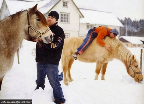 Orang Sebarangan Tidak Dibenarkan Masuk Ke Pulau Ini. - Gaban Comel