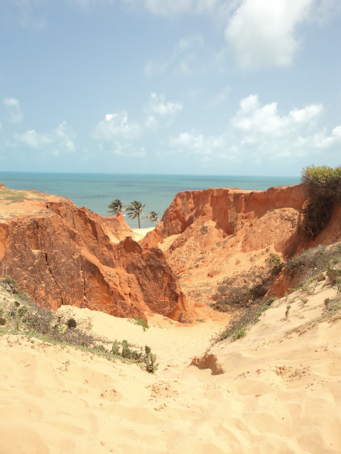 Passeio na Praia de Morro Branco, no litoral cearense