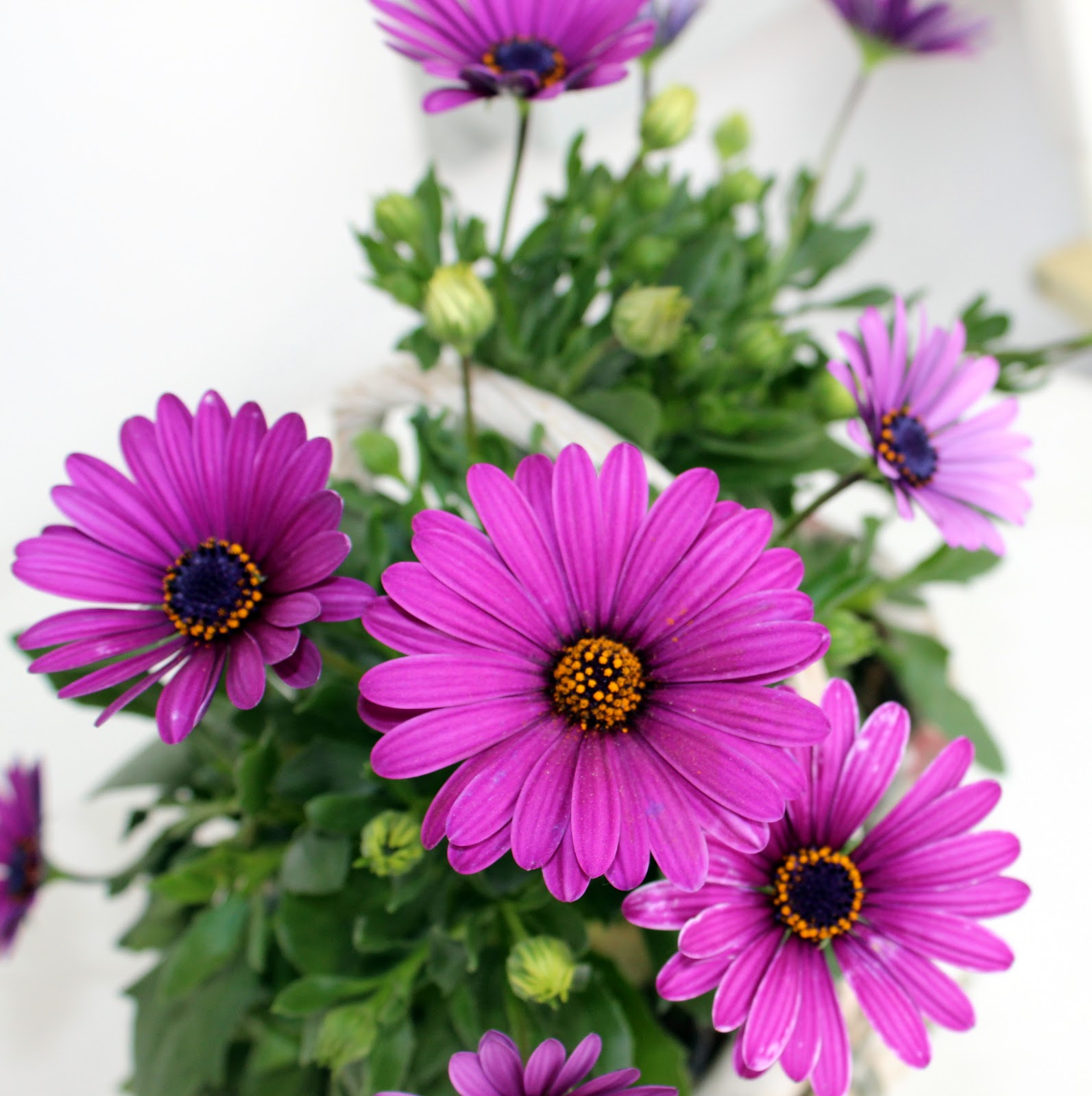 Das Leben Ist Bunt Pfingstmontag Ein Besinnlicher Tag