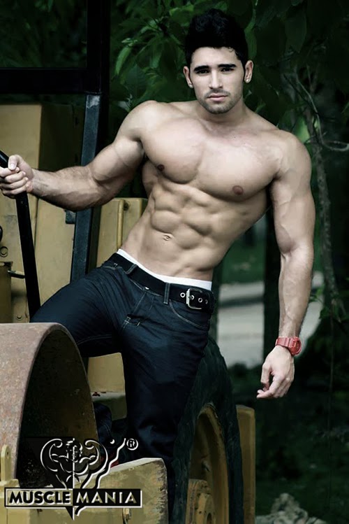 Musclemania: November 2013