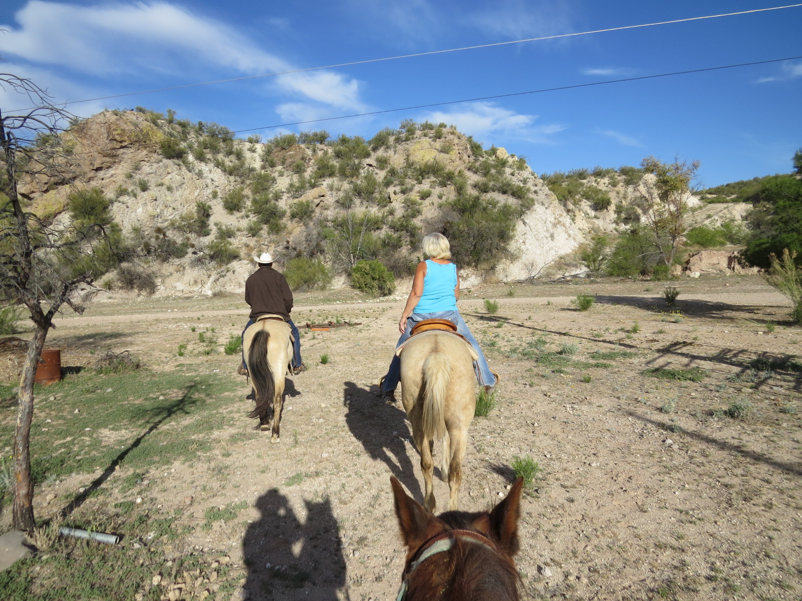 Where's Liz? 2016 Horseback Riding in Wickenburg, AZ