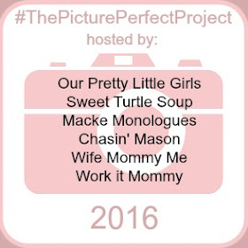 The Picture Perfect Project