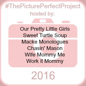 The Picture Perfect Project