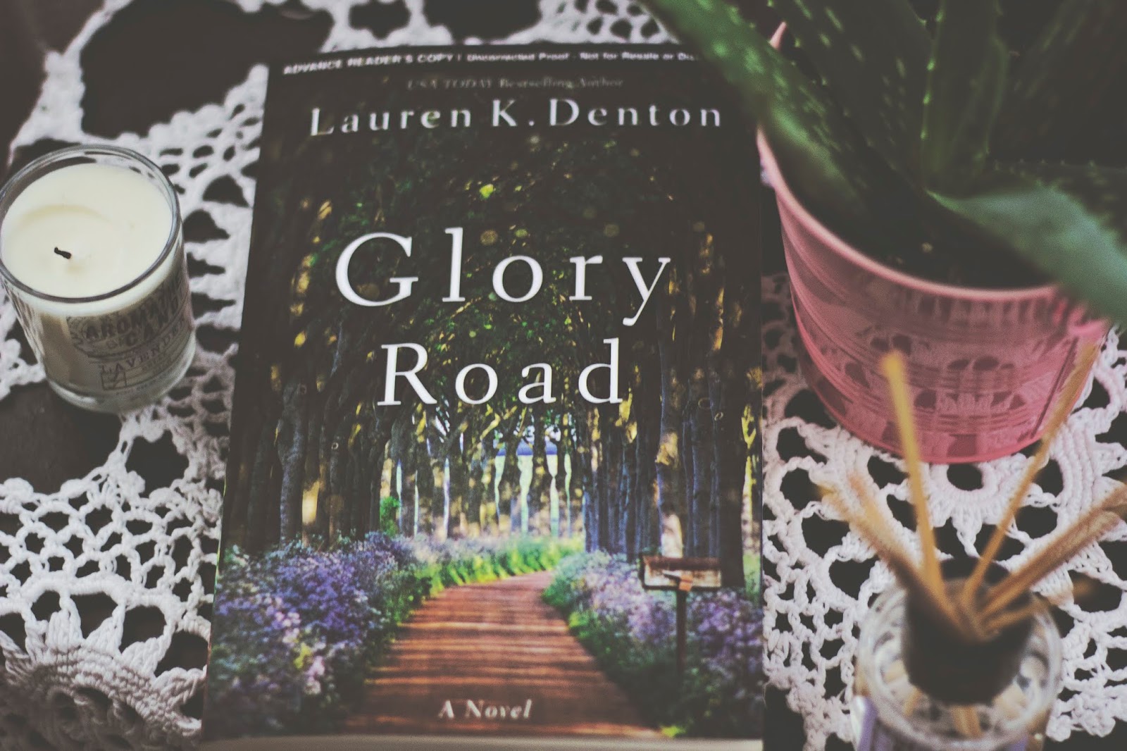 Diary of a Stay at Home Mom Glory Road by Lauren K. Denton TLC Book Tour