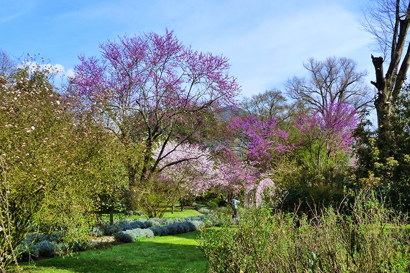 O Jardim de Ninfa Jardim Ninfa Roma - O Jardim de Ninfa