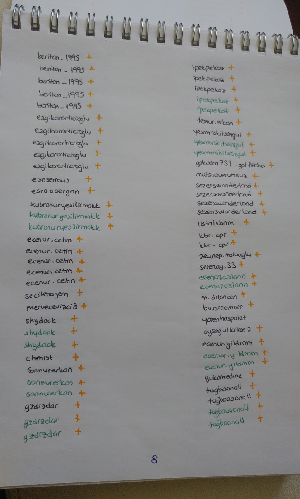 4 kız kardeş fındık ocağı kurdu 4 kız kardeş fındık ocağı kurdu