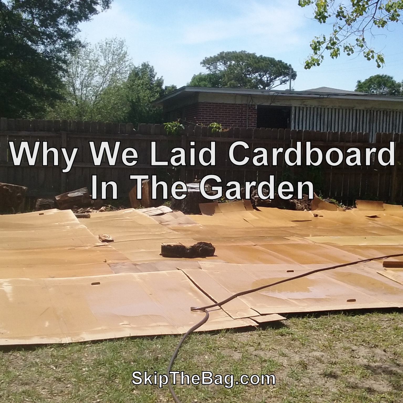 why we garden Why we chose papercrete the story behind papercrete and eve’s garden we are excited to share eve’s garden-kate’s masterpiece and motivate people to “create their own camouflage” everyone has their own form of camouflage, as we all need to fit into our habitat for some people their camouflage is a suit and tie. why we garden Why we chose papercrete the story behind papercrete and eve’s garden we are excited to share eve’s garden-kate’s masterpiece and motivate people to “create their own camouflage” everyone has their own form of camouflage, as we all need to fit into our habitat for some people their camouflage is a suit and tie.