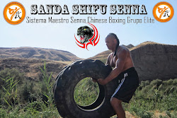 SHIFU SENNA SANDA