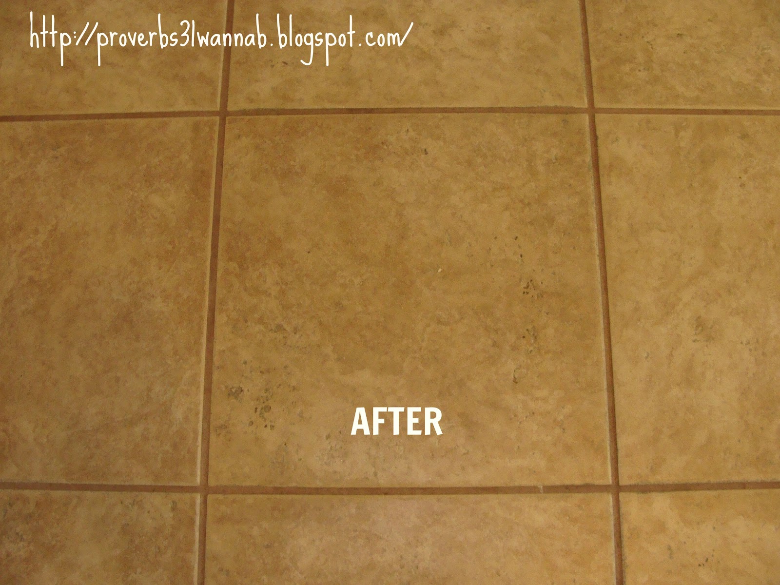 proverbs-31-wanna-be