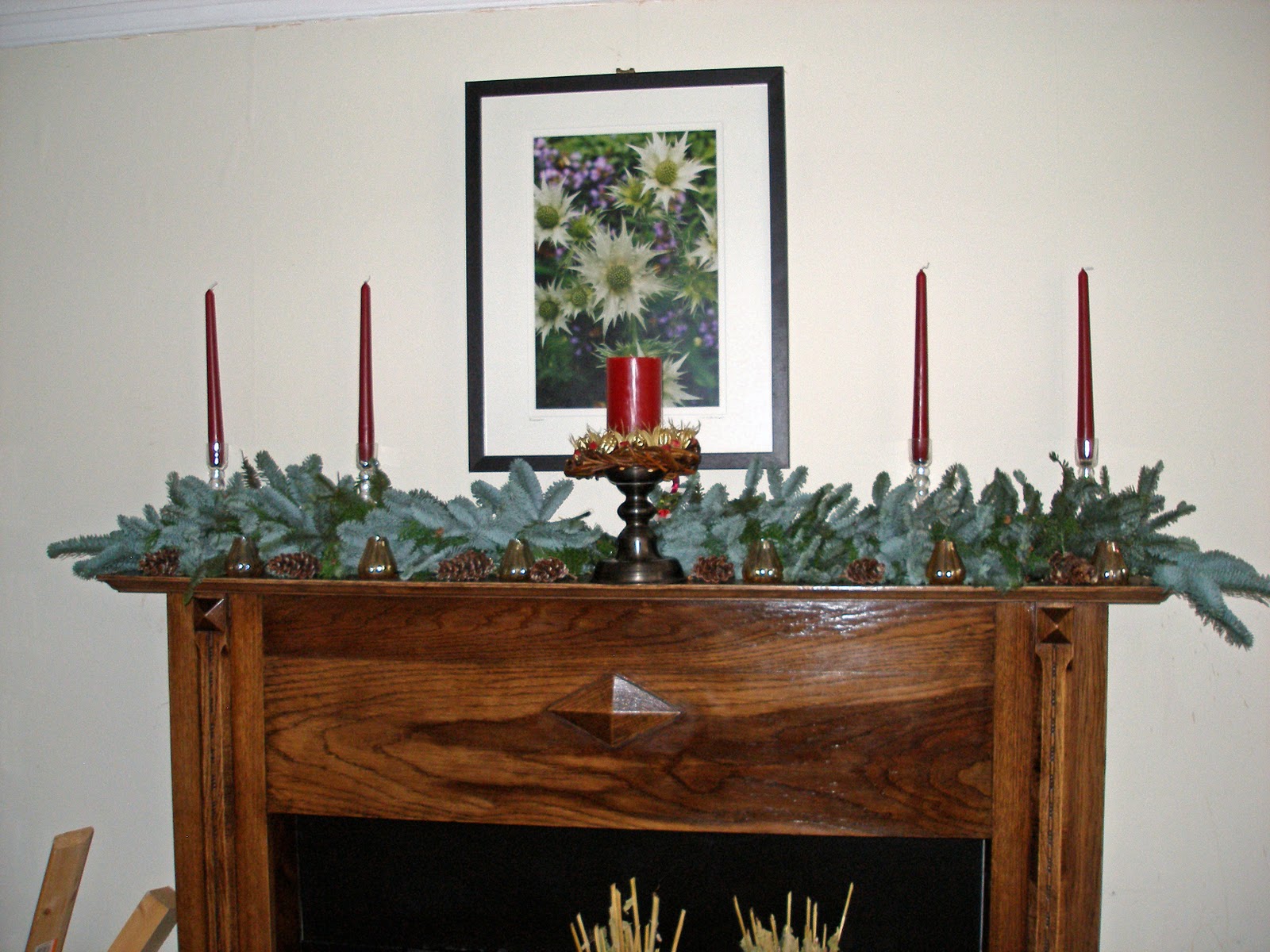 greengarland Blue spruce swags on English handmade rope