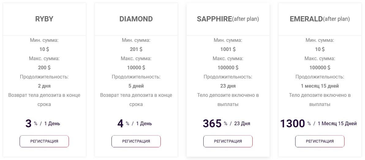 Инвестиционные планы Rubix7