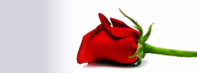 Cute Happy Red Rose Day 2017 Cover Facebook Images Cute Happy Red Rose Day 2017 Cover Facebook Images
