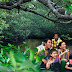 Asyiknya Liburan ke Kampung Tur Mangrove Bintan Kepri