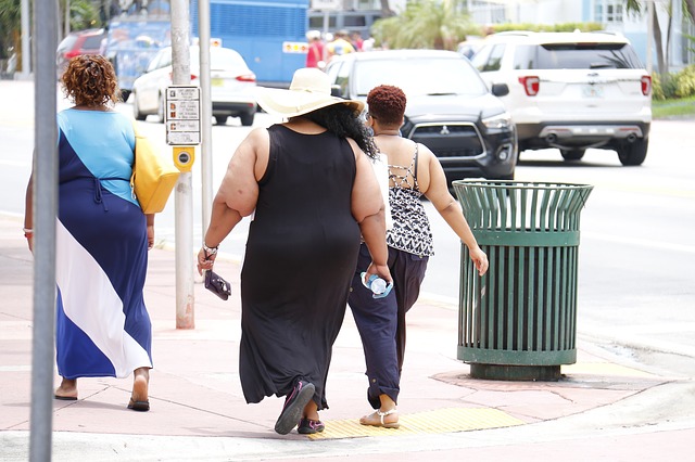 What The Heck is Obesity?