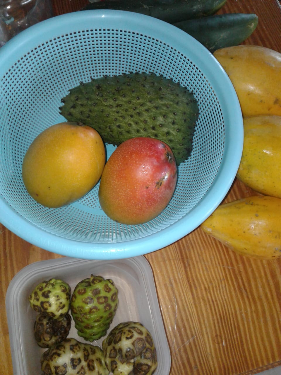 3 Jamaican Mango Types You Probably Never Heard of