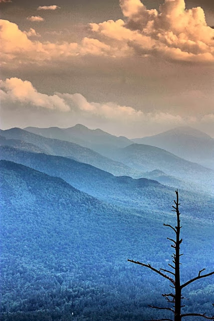 Pictures of Nature - HD Wallpapers | Desktop & mobiles