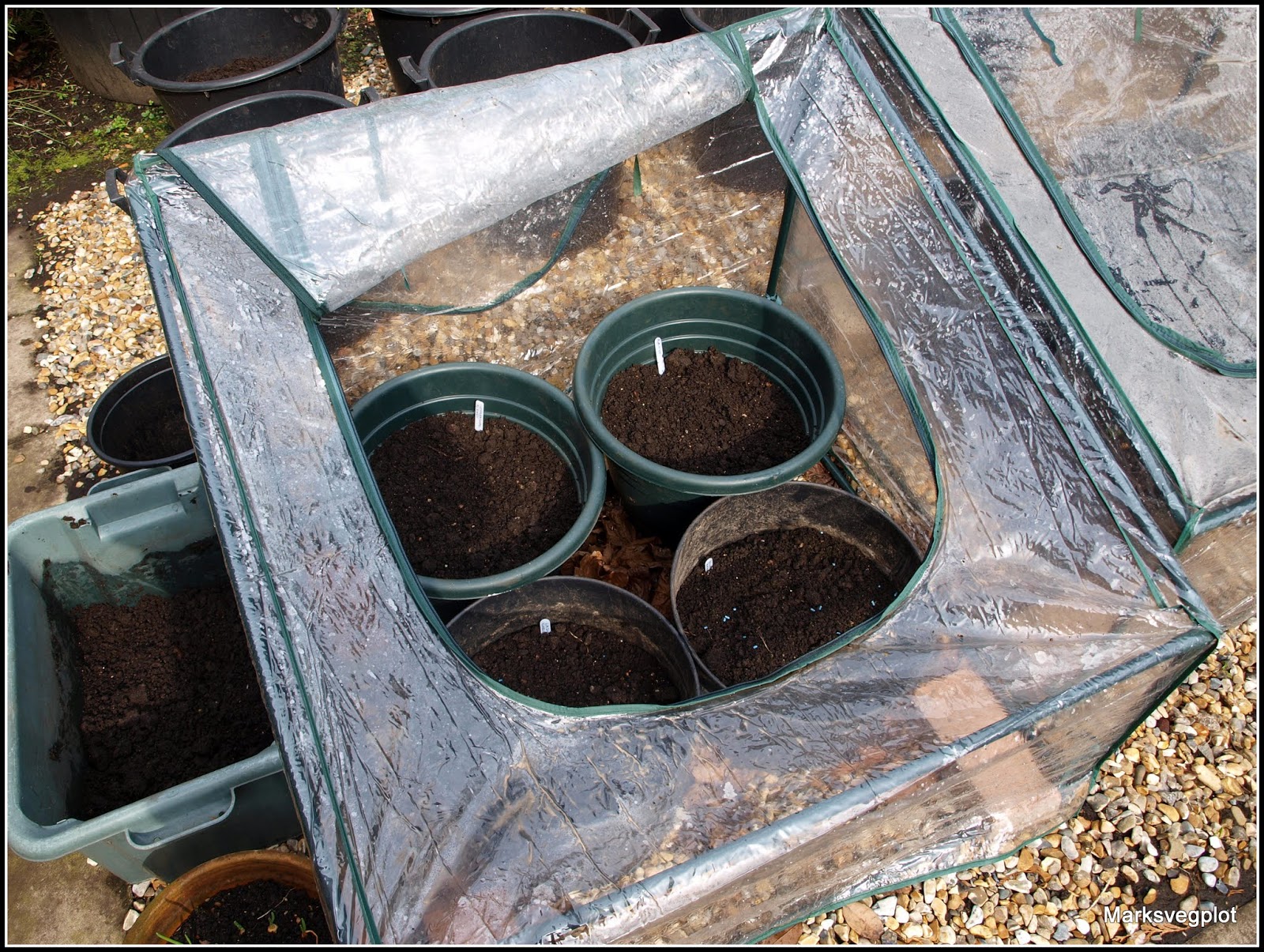 Mark's Veg Plot Growing potatoes in containers