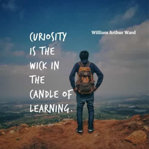 Learning quotes that'll help you become successful Learning quotes that'll help you become successful