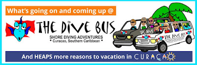 News from The Dive Bus, Curacao