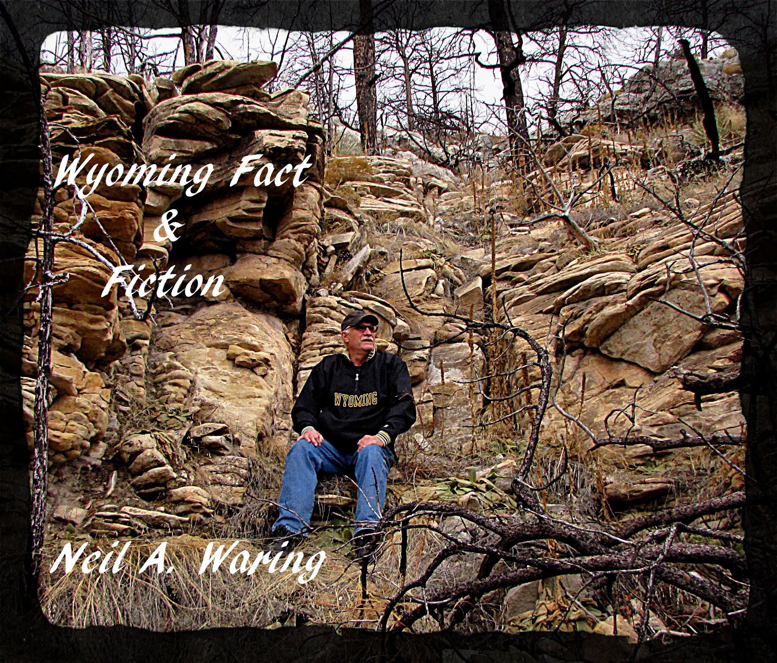 Wyoming Fact & Fiction - Neil A. Waring