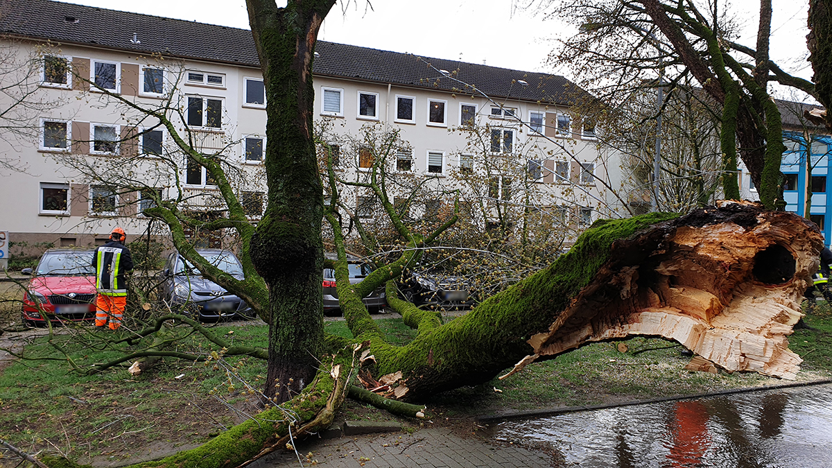 Landtag Nrw Architektur