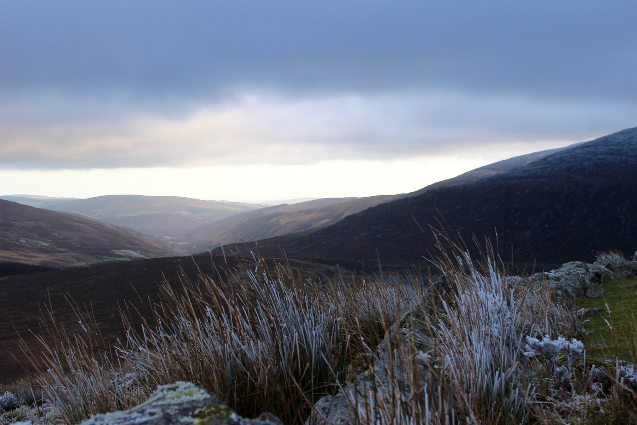 Wicklow Cottage Escape Glendale Cottages Glendalough Happy