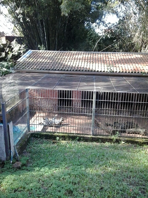 Zool%25C3%25B3gico%2BMunicipal.%2BCachoeira%2Bdo%2BSul.RS.2015.jpg