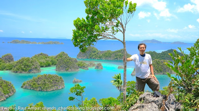 Piaynemo karst tourism attraction in Raja Ampat
