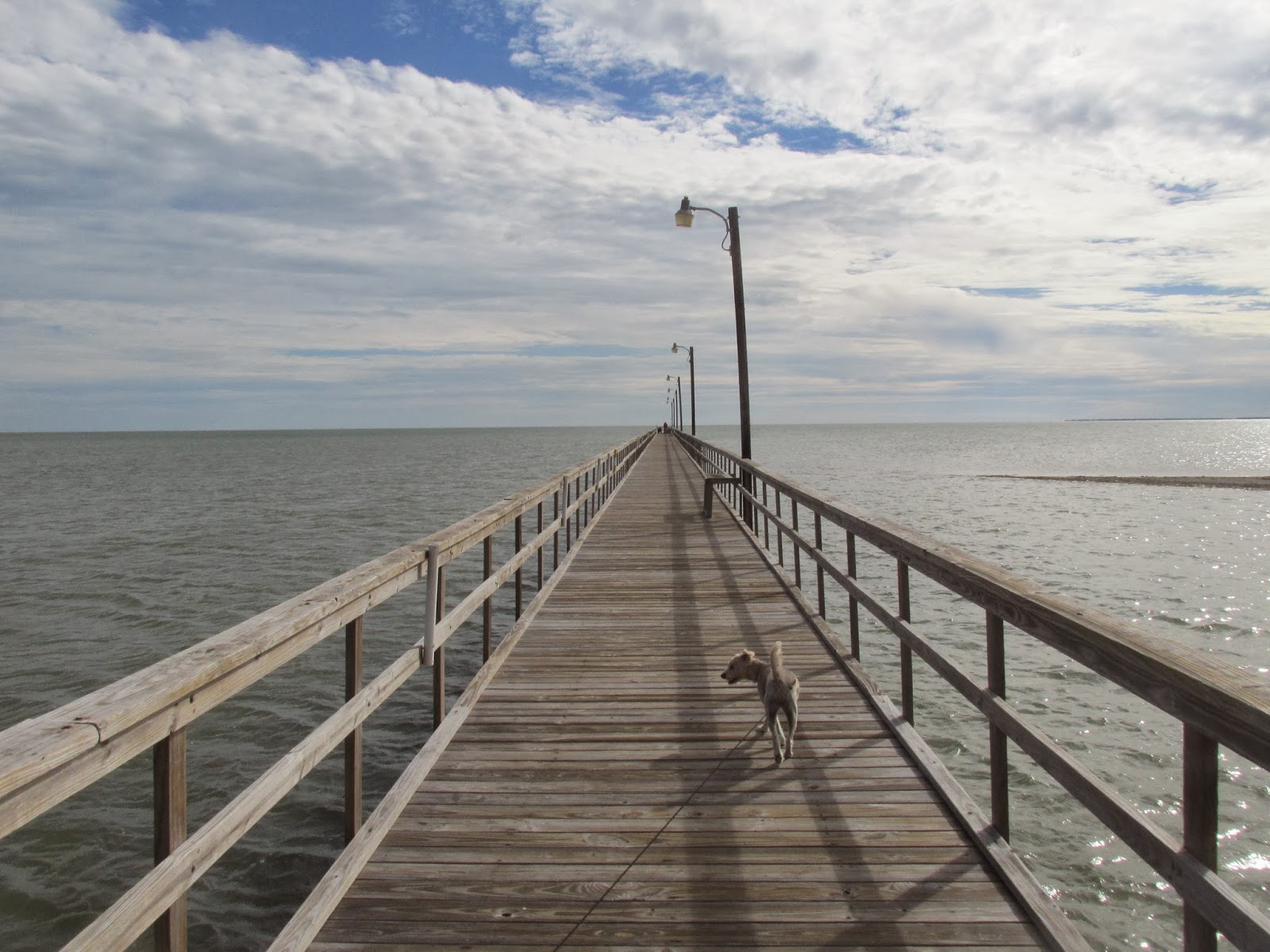 Touring America 2021 Goose Island State Park Rockport, Texas