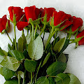 My photo