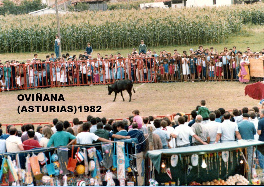 OVIÑANA VAQUILLAS 1982