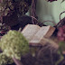 Rapid Book Tag