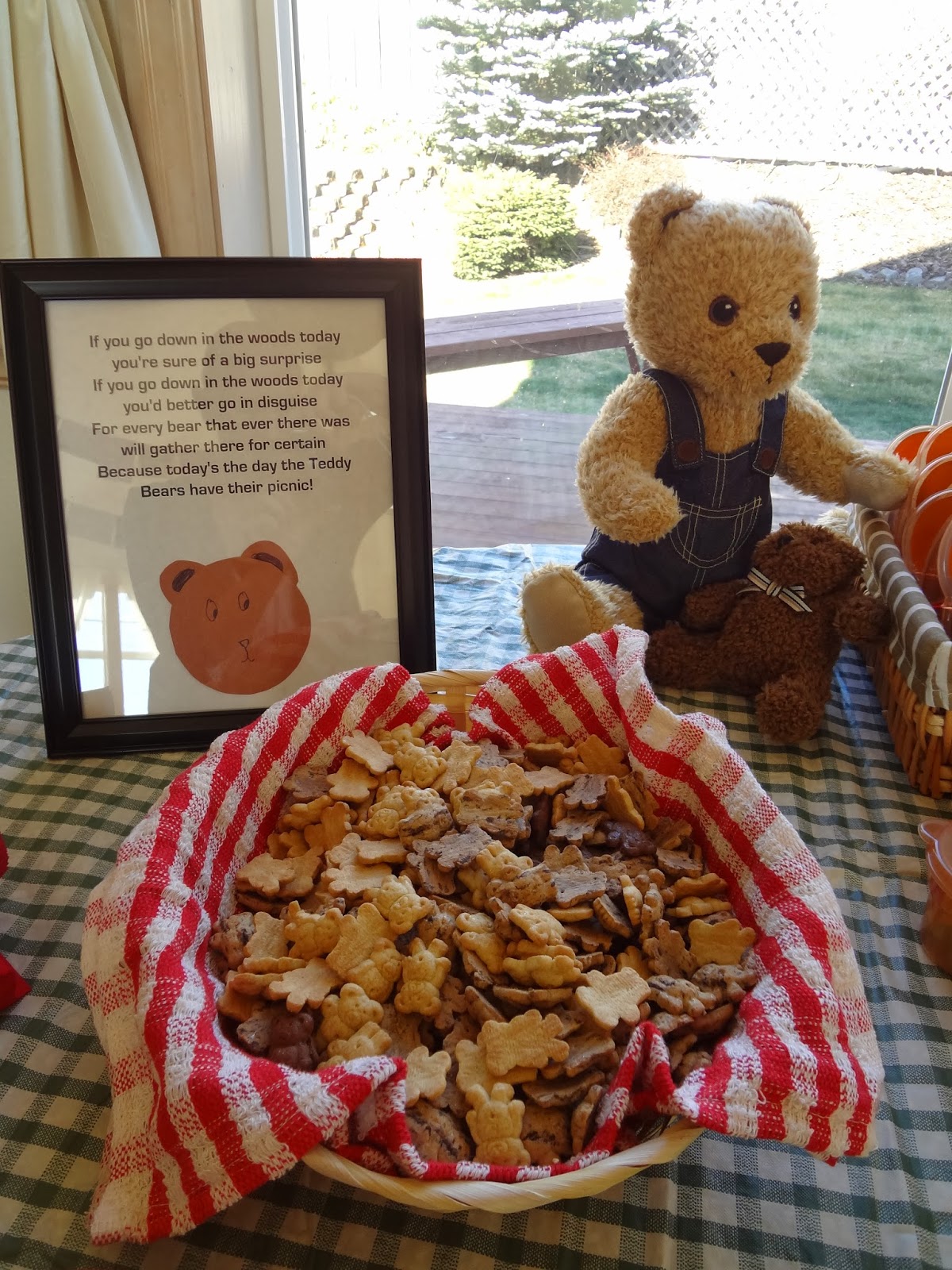Expressions from an Abnormal Mommy Teddy Bear Picnic Birthday Party