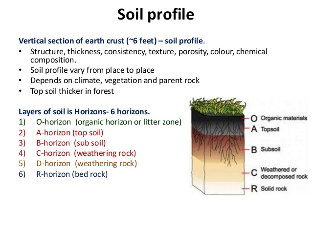 Soil перевод. Compost in soil. Soil horizons. Soil перевод. Soil перевод.