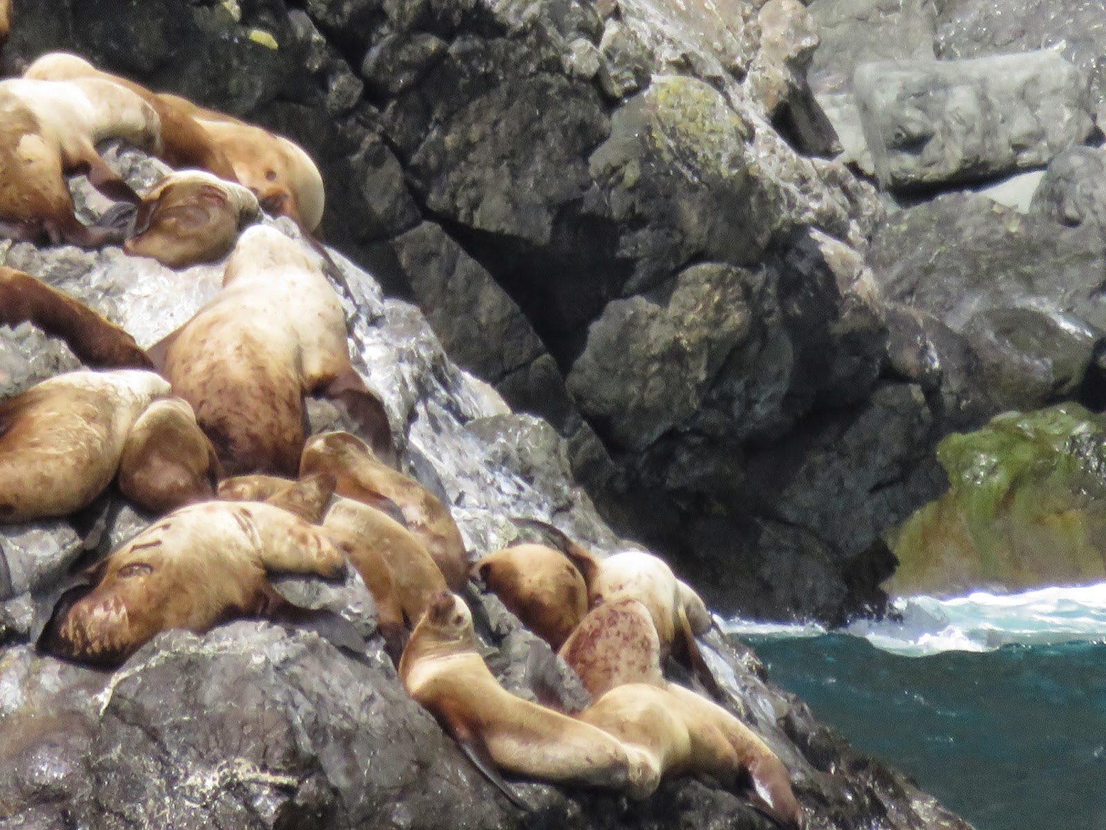 wanderers: August 2014