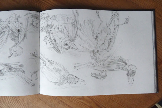 13 sparrows - pencil in Finding Out sketchbook