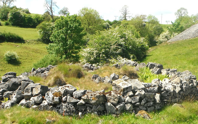 Dale Mine near Warslow