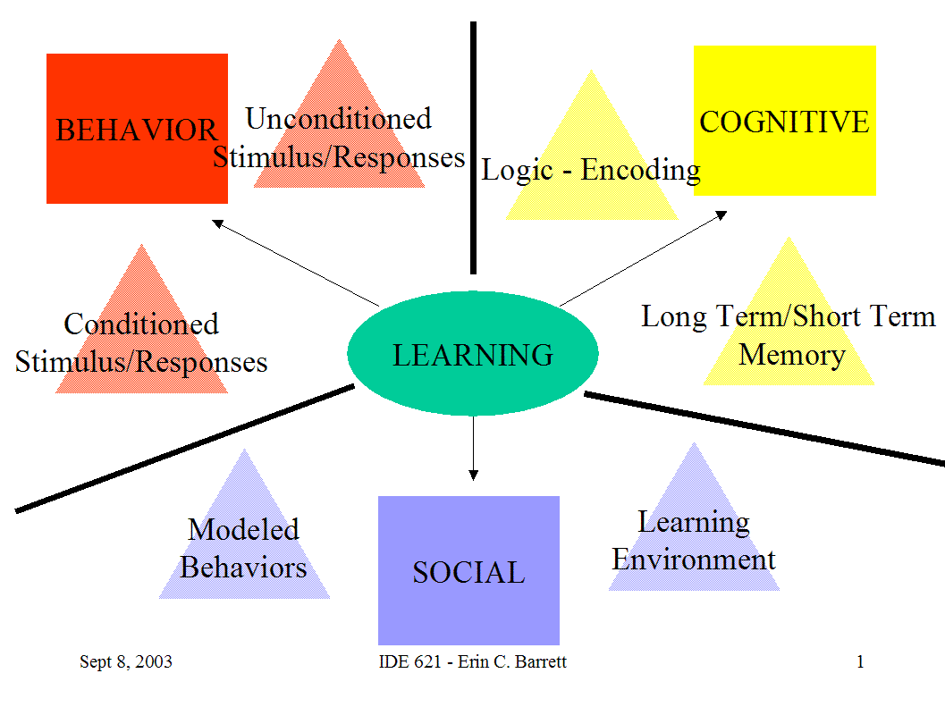Social Learning Theory (Albert Bandura)