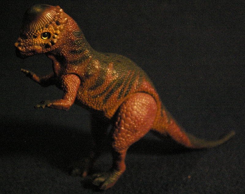 Action Figure Adventures: Pachycephalosaurus - Dino