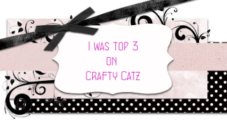top 3 chez Crafty Catz