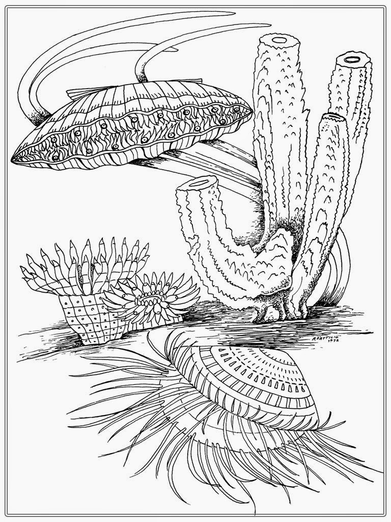 caco3 coloring pages - photo #30