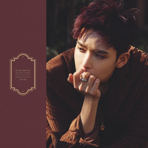 Ryeowook – Something Good Lyrics