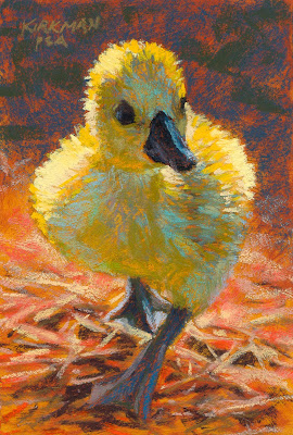 Rita Kirkman's Daily Paintings: Duckling Walking