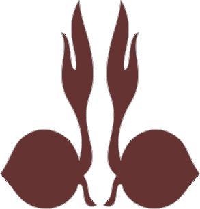 Get Gratis Download Logo Pramuka Tunas Kelapa Berhadapan Background