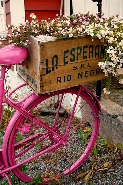 Love this vintage box planter on this bright pink bicycle frame