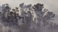 Se queman 1.800 hectáreas en Mallorca