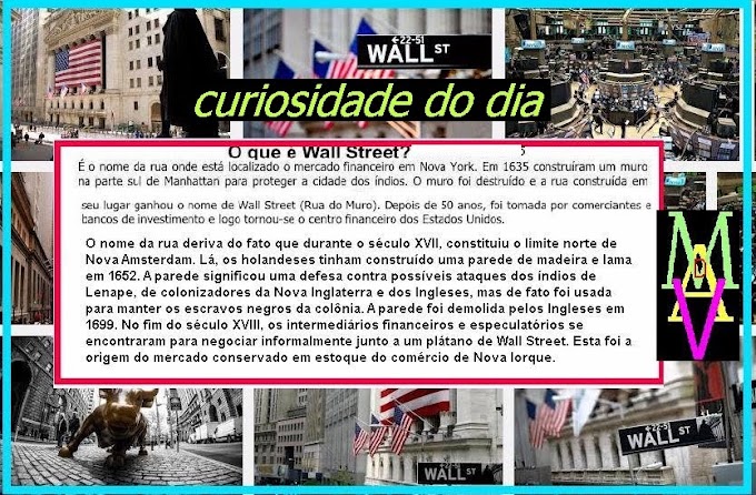 CURIOSIDADE DO DIA-O que é Wall Street?